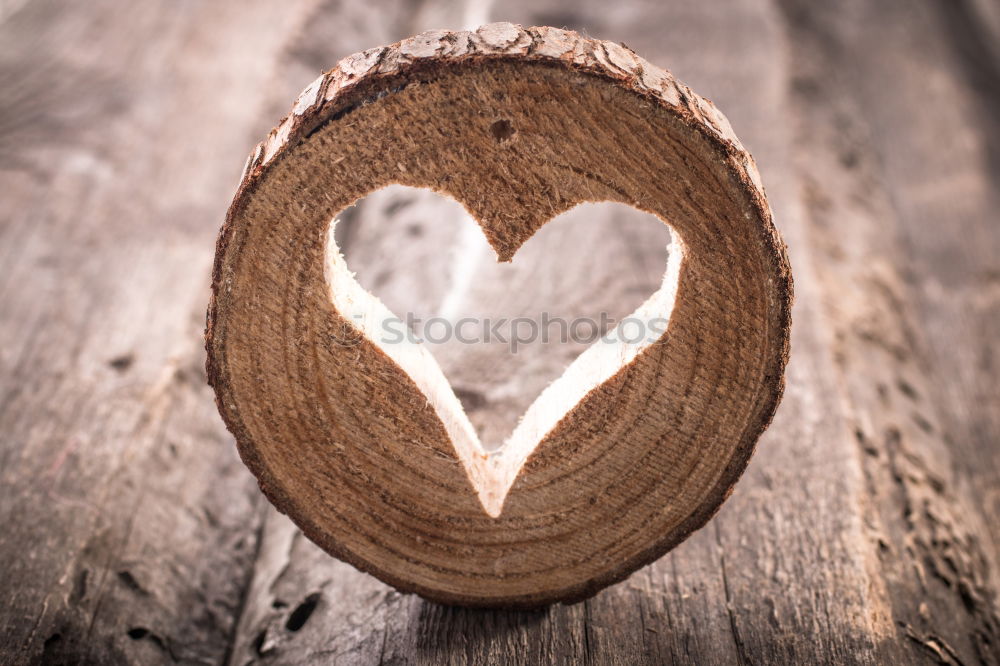 Similar – Image, Stock Photo I love U Tree Wood Sign