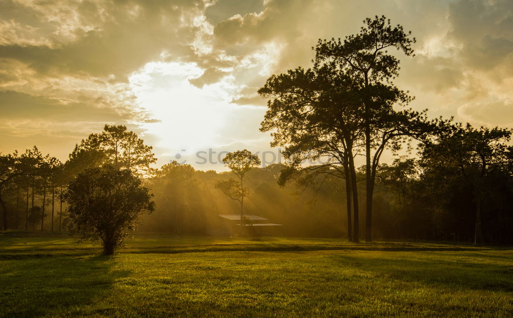 Similar – Magic Sunset Landscape