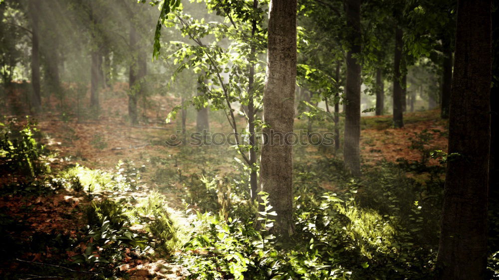 Similar – Image, Stock Photo Summer on the outskirts of the big city