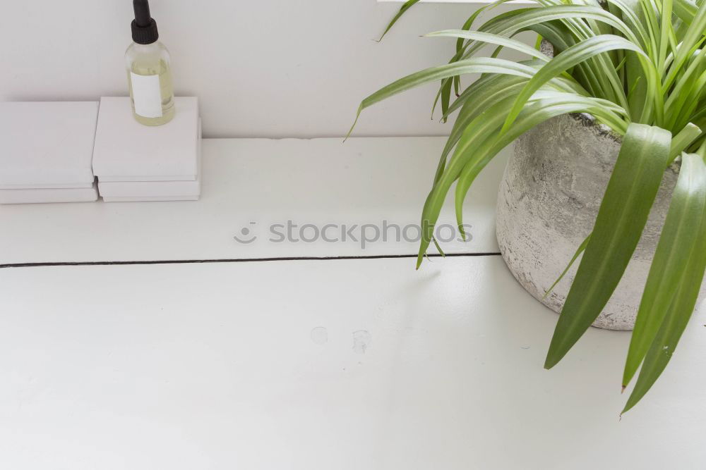Similar – Image, Stock Photo shelf units