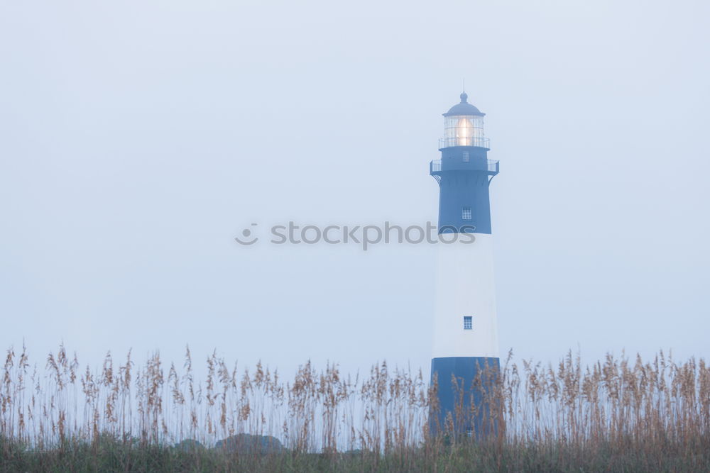 lighthouse Island Nature