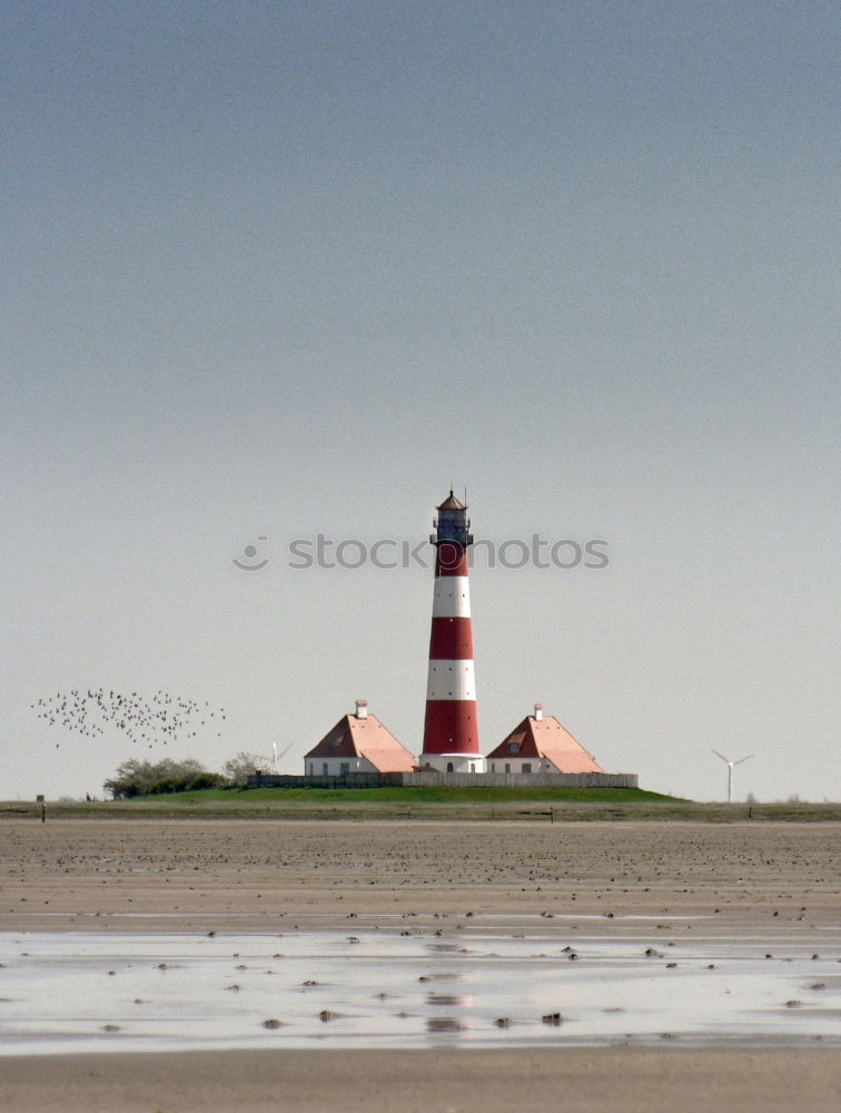 Similar – Möwe&Leuchtturm