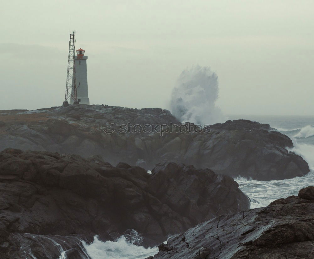 Similar – Image, Stock Photo Alcatraz (one)