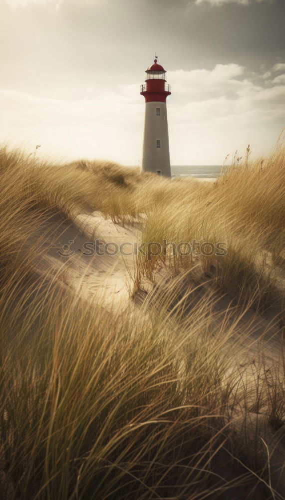 Similar – Image, Stock Photo Sandstorm at the lighthouse