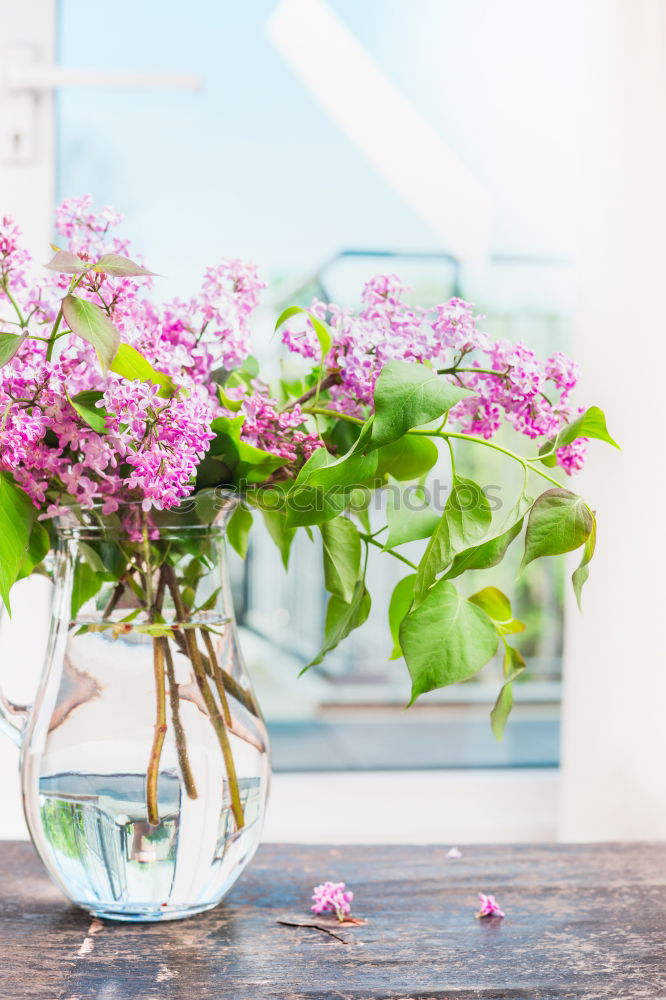 Similar – Foto Bild helle Hortensie in Vase mit Wasser auf blauer Tischdecke