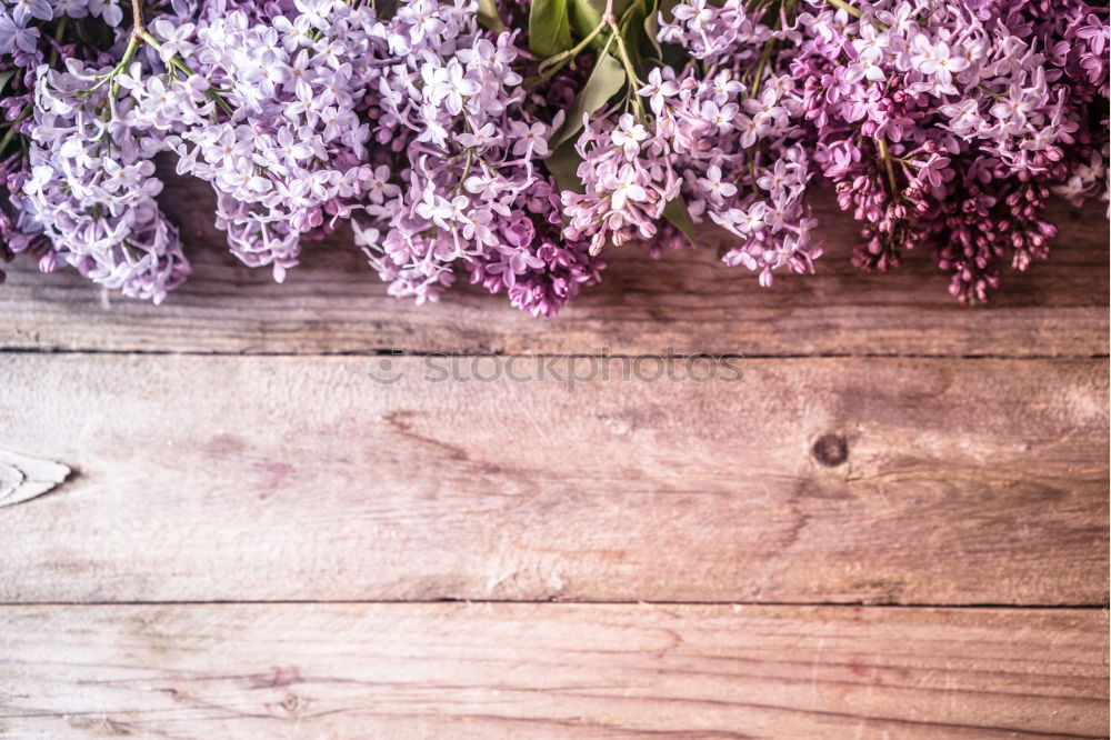 Similar – Gift and bouquet of lilacs on a wooden table