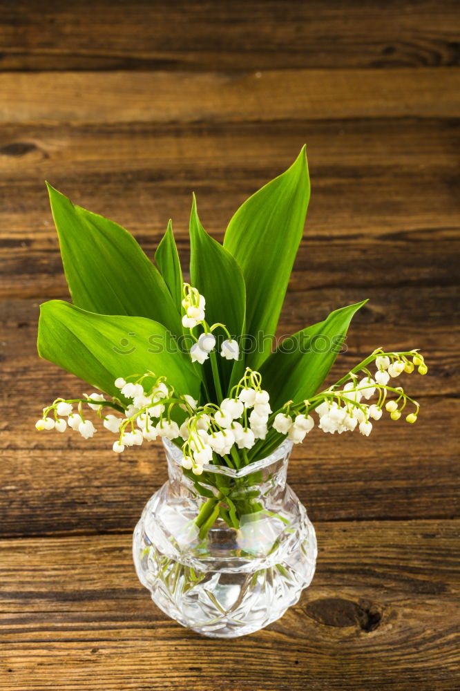 Similar – bouquet of white lilies of the valley