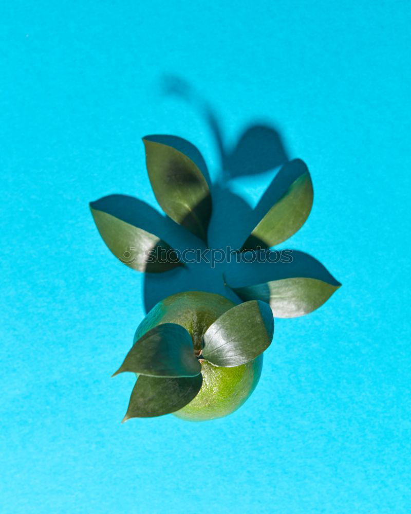 Similar – Image, Stock Photo Jammy lemon half on blue