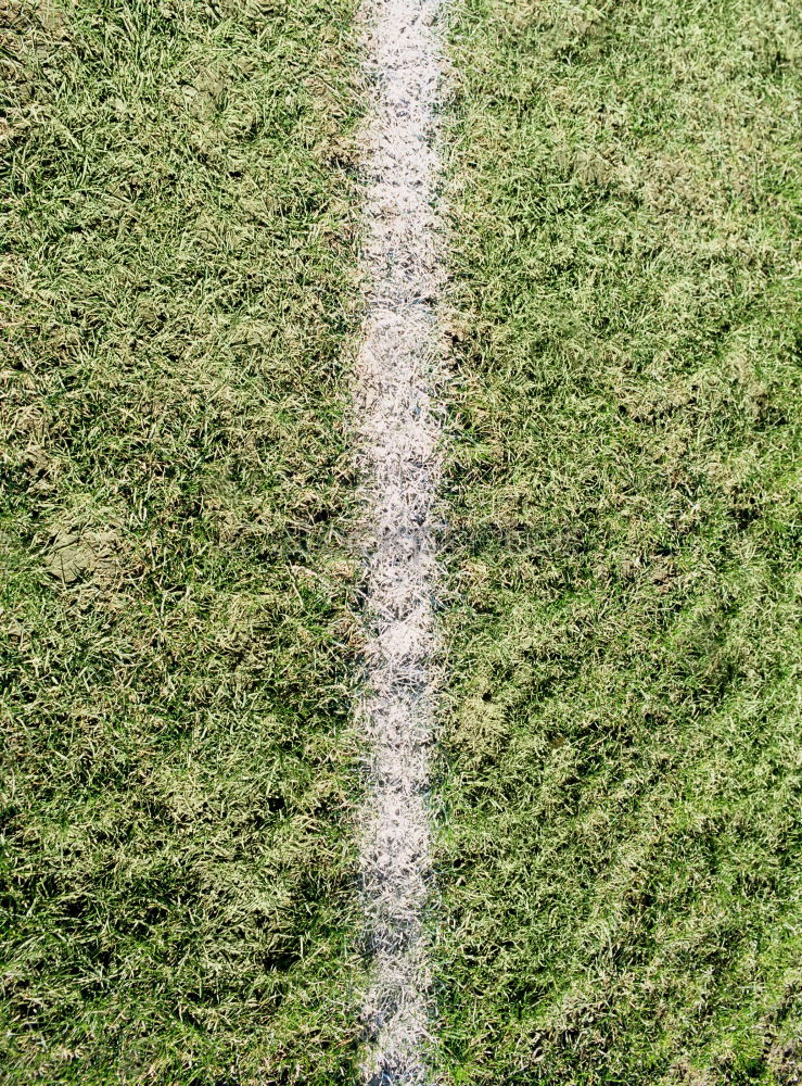 Similar – Image, Stock Photo Restrictive Grass Meadow