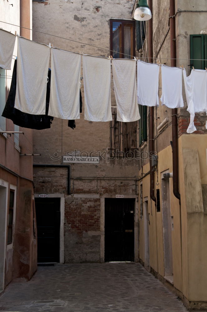 Washing day