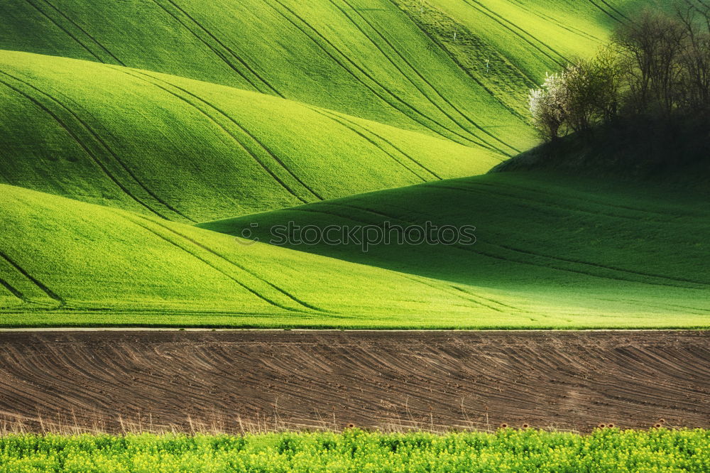 Similar – Felder Muster Baum Wellen