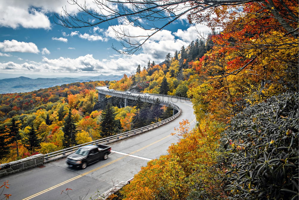 Similar – Image, Stock Photo Indian Summer @ Acadia NP