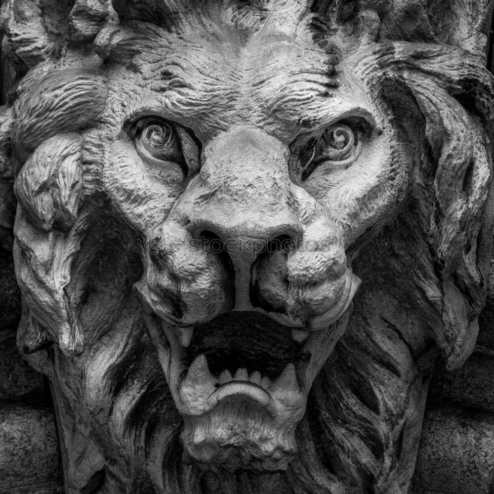 Similar – Image, Stock Photo three monkeys 3 Monkeys