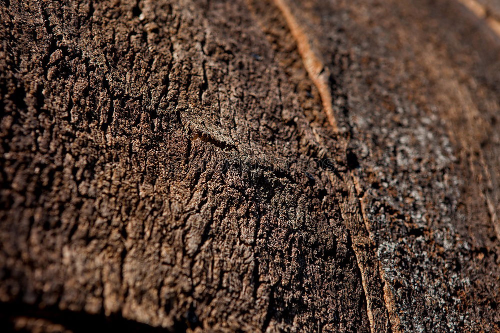 Holzmichel@work Handwerker