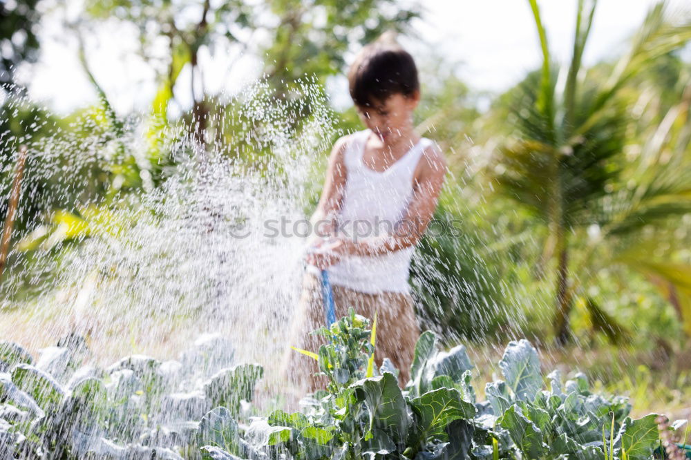 Similar – tree boy Tree Boy (child)