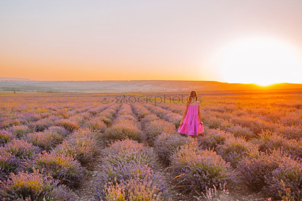 Similar – Image, Stock Photo Young woman walking in a path in the middle of a vineyard