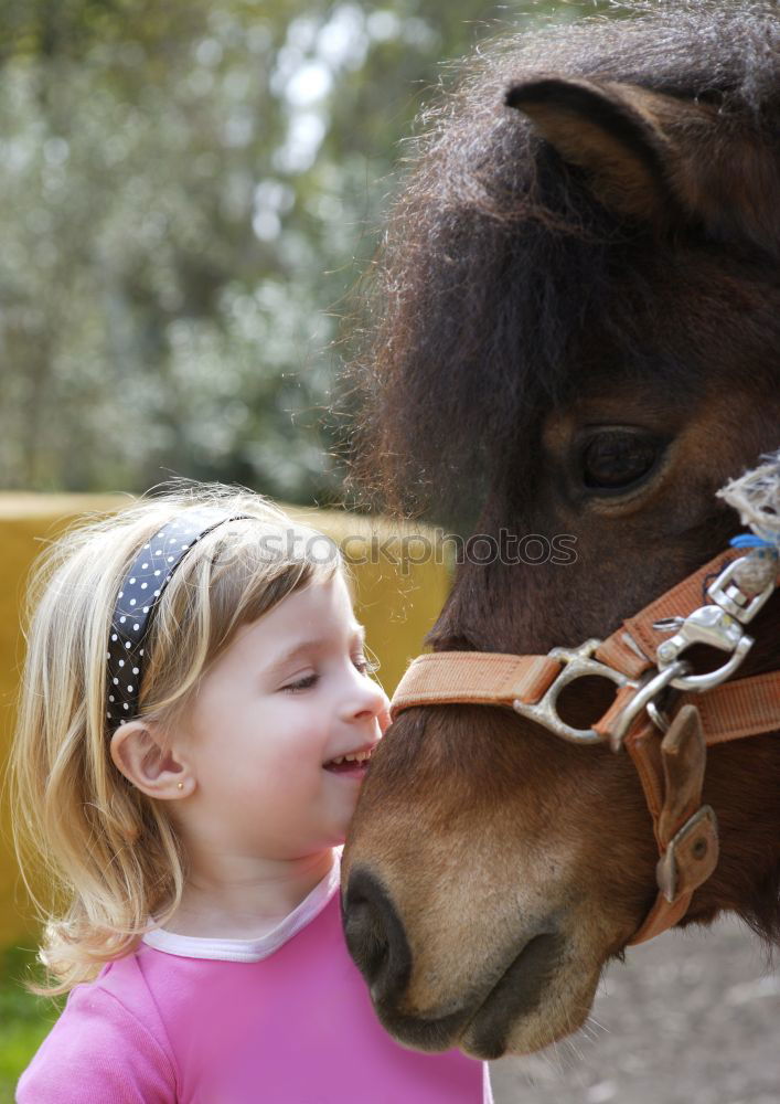 Image, Stock Photo Scratch out horse hooves