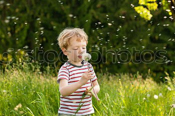 Similar – happy child boy catching butterflies