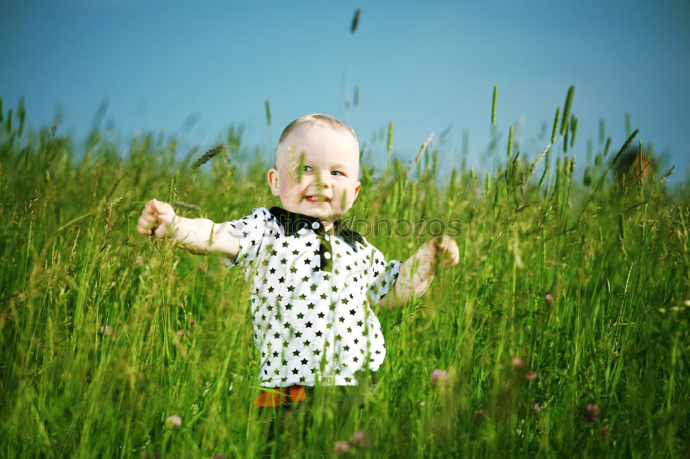 Similar – Image, Stock Photo In the grass Grass Meadow