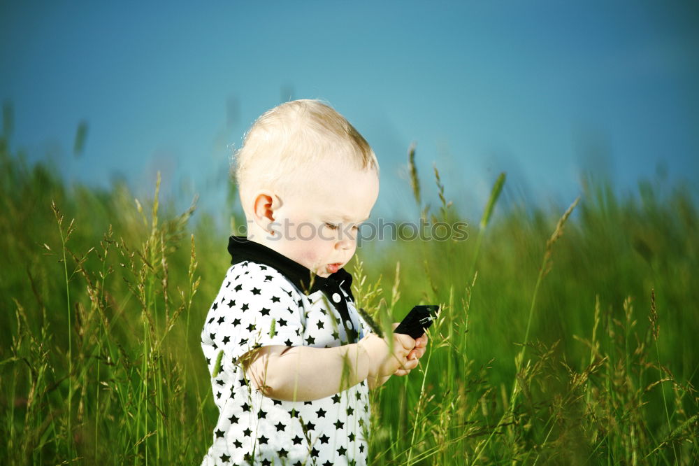 Similar – Image, Stock Photo In the grass Grass Meadow