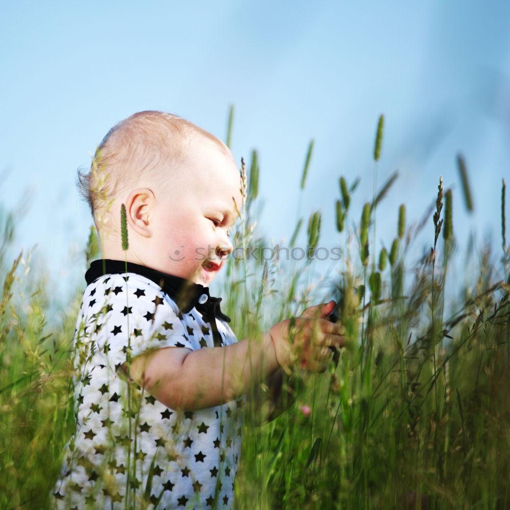 Similar – Baby raising arms arms up