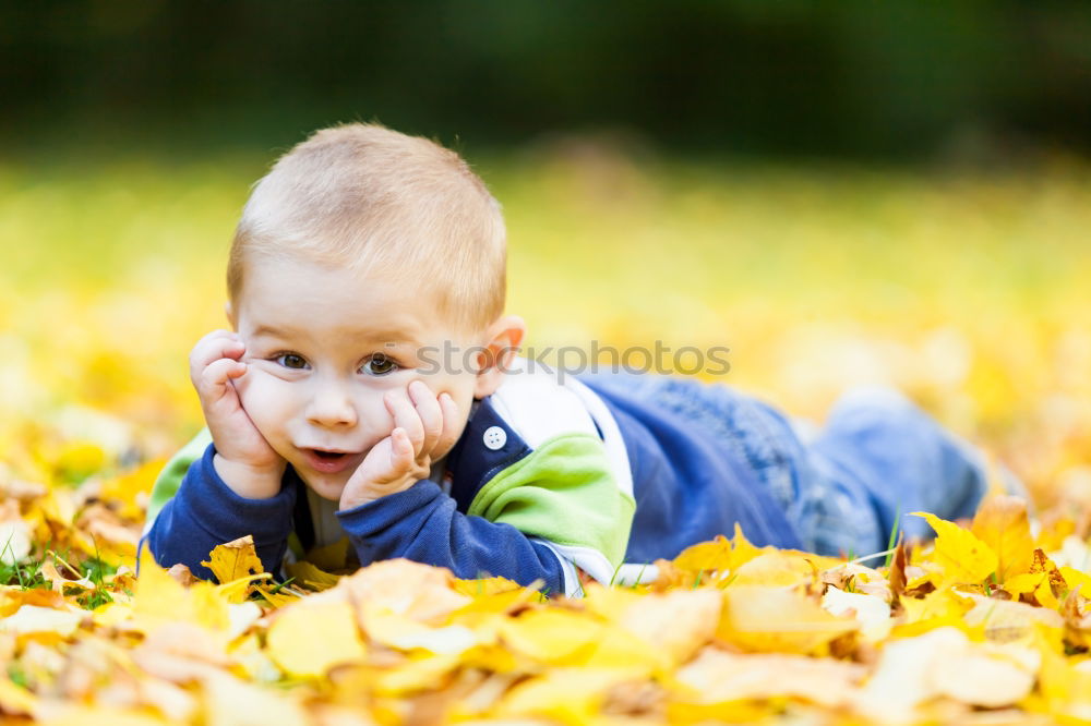 Similar – Child collects chestnuts