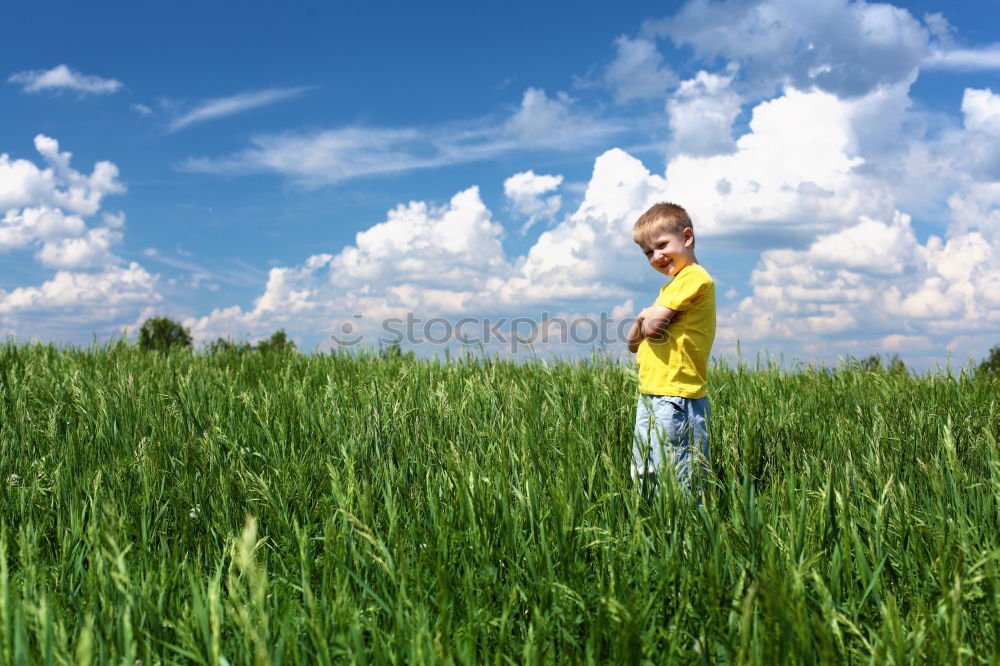 Similar – Image, Stock Photo oat dream