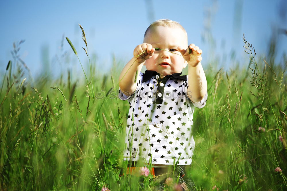 Similar – Image, Stock Photo In the grass Grass Meadow