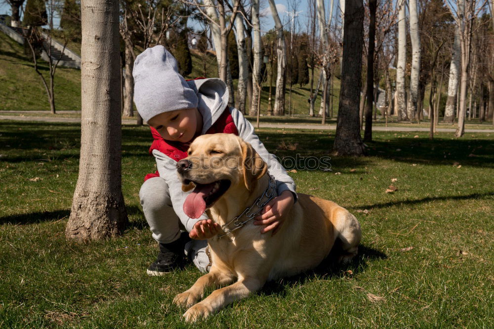Similar – Image, Stock Photo Young woman with a Weimaraner hunting dog chilling in the forest