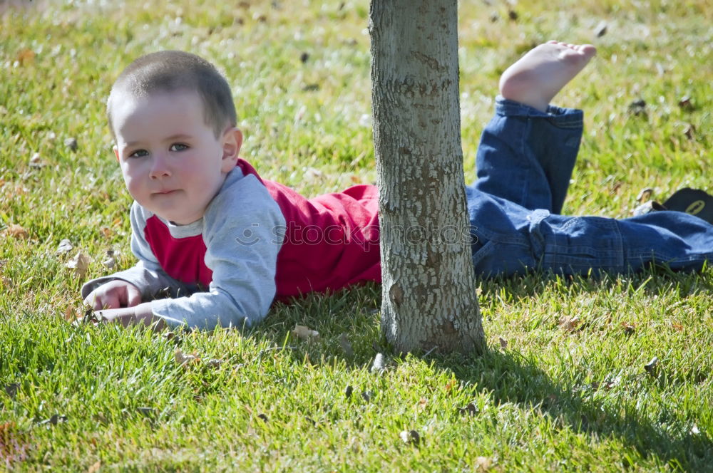 Similar – Toddler sitting in a tree