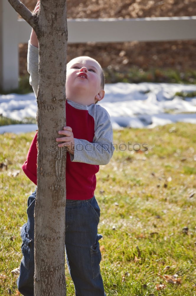 Similar – Image, Stock Photo ParkBanking Autumn