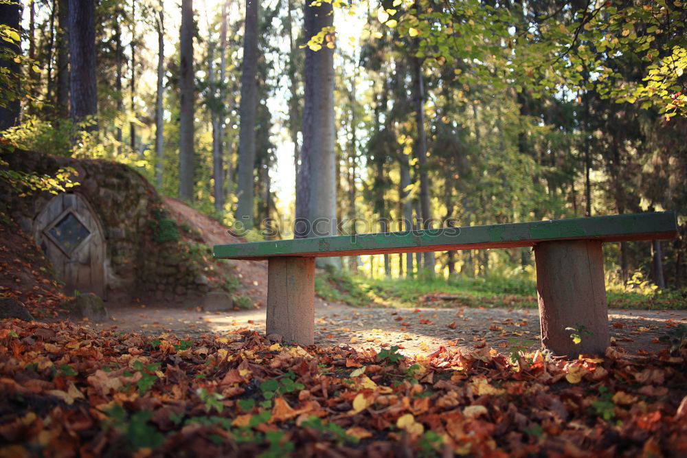 Similar – Image, Stock Photo long bank. Calm