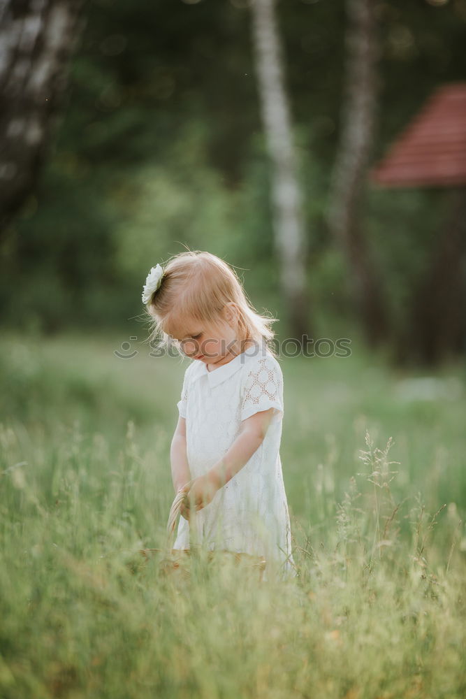 Similar – little cute girl have fun under tree with cones on a sunny spring day