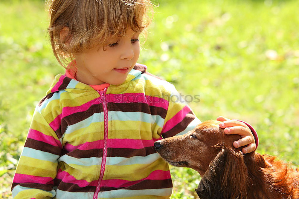 Image, Stock Photo Little girl looking a goat on the grass