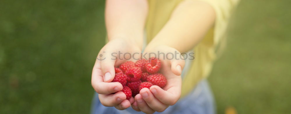 Similar – Image, Stock Photo red gold Organic produce