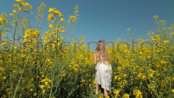 Similar – Blumenmädchen Mensch