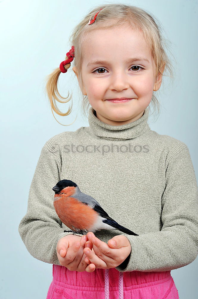 Similar – Foto Bild Vögelchen blau Kind