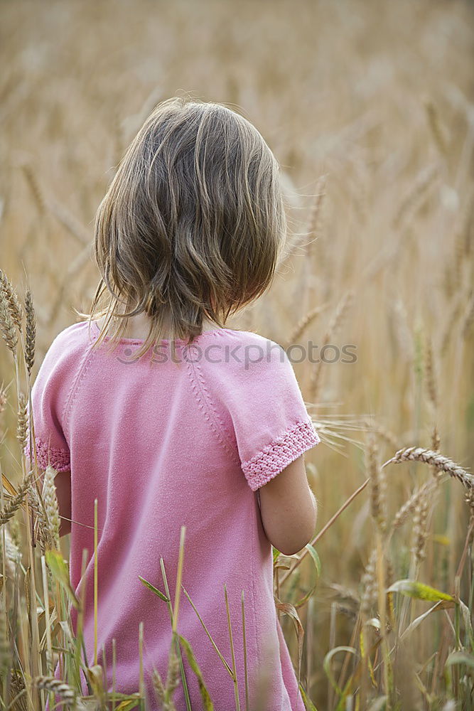 Similar – Unser täglich Brot Feld