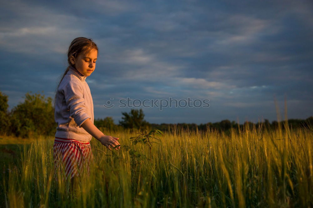 Similar – Image, Stock Photo Alexa in the evening light.