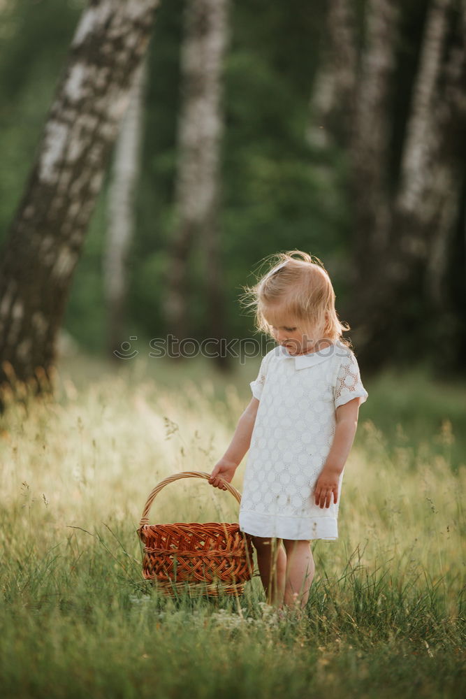 Similar – little cute girl have fun under tree with cones on a sunny spring day