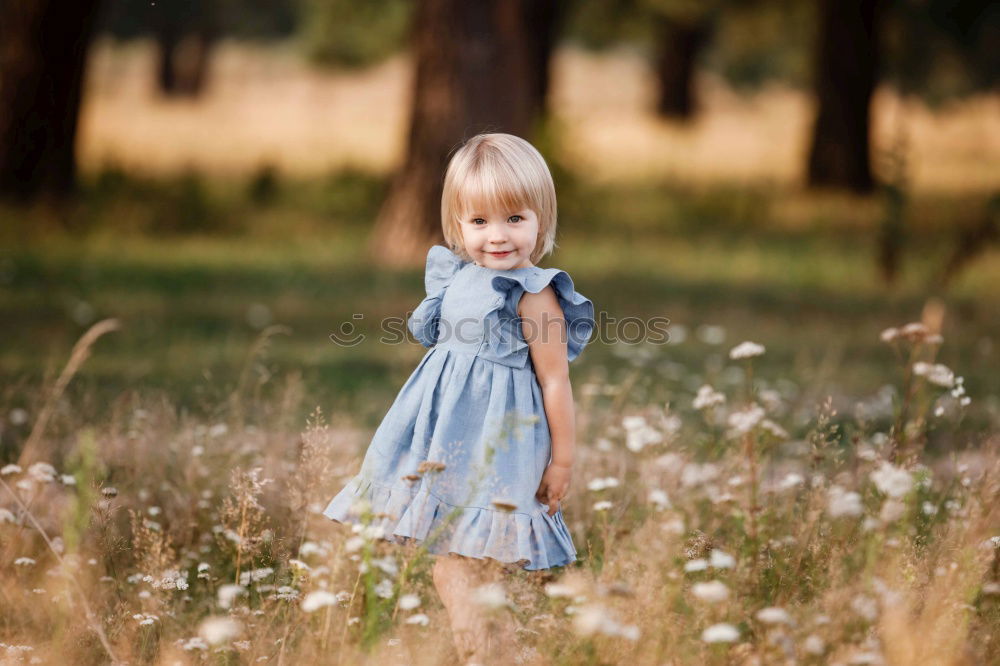 Similar – little cute girl have fun under tree with cones on a sunny spring day