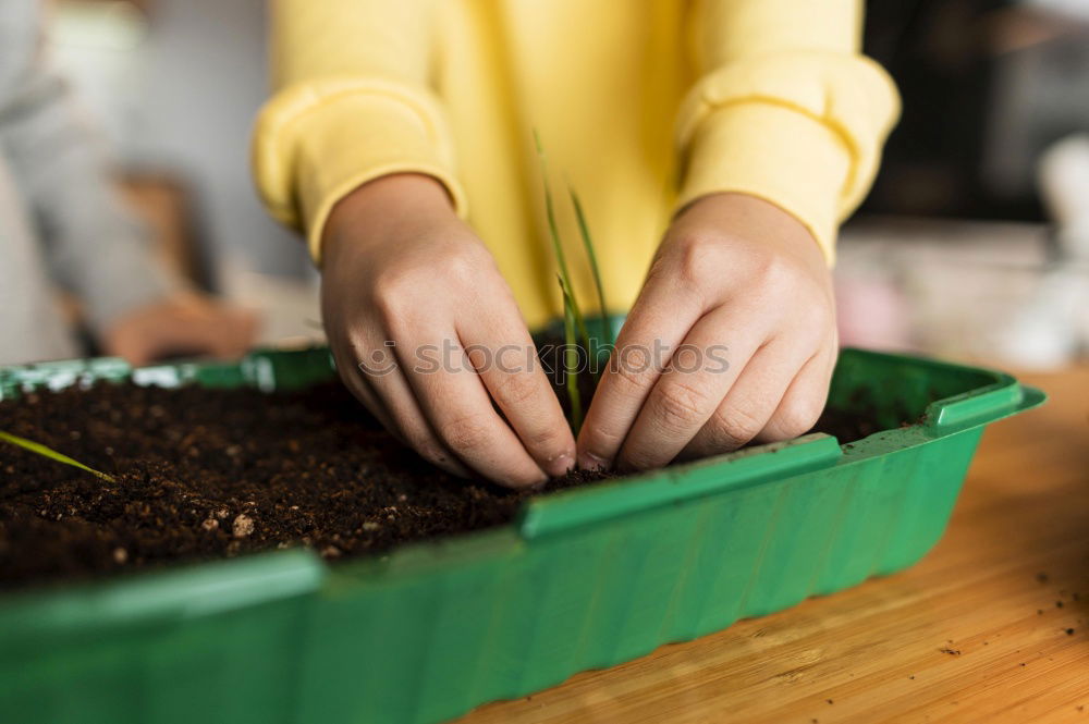 Similar – Image, Stock Photo Woman’s hands transplanting plant.