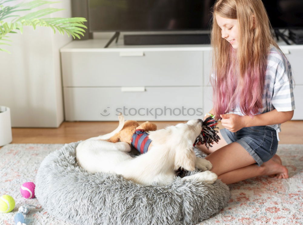 Similar – Foto Bild Junge Frau sitzt mit einem Tablet auf einem kleinen Hund auf einem grauen Sofa