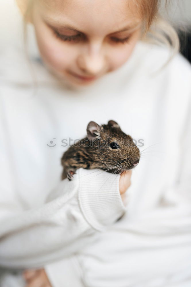 Similar – Girl cuddles with rabbit