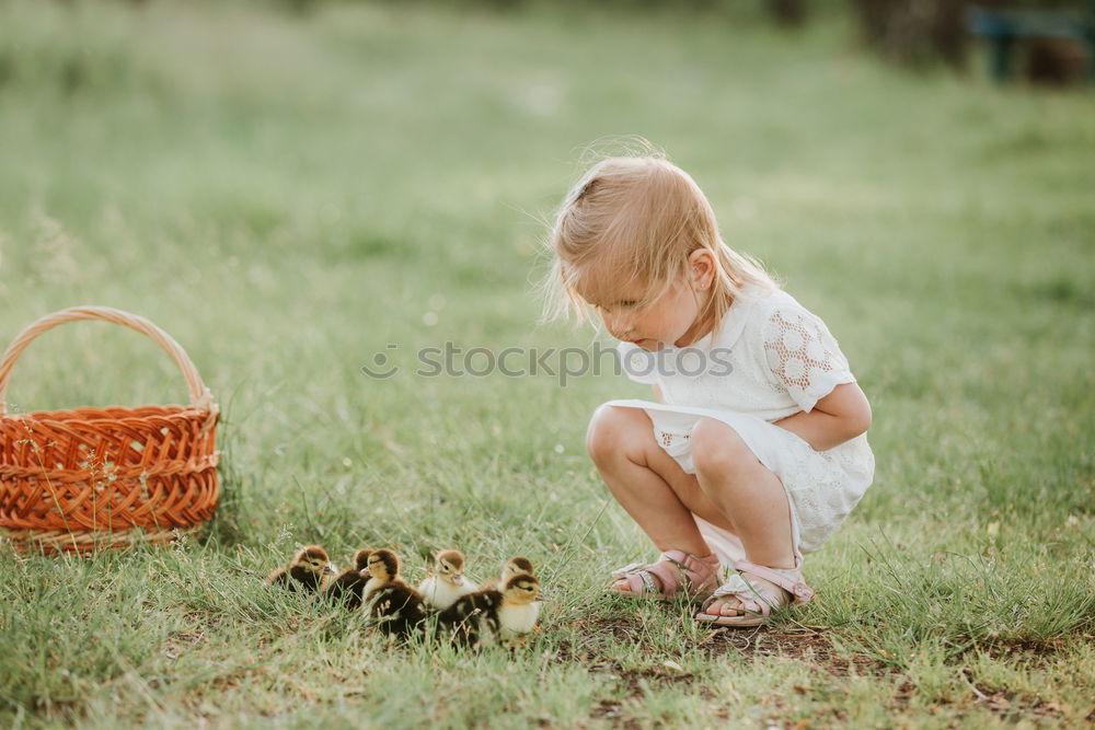 Similar – Image, Stock Photo Dad teaching daughter about nature