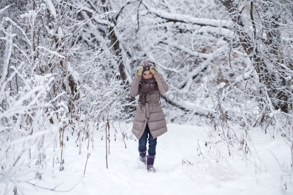 Similar – Image, Stock Photo Winter dreams Lifestyle