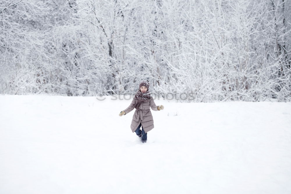 Similar – A woman pulls a sled through the snow. Winter atmosphere.