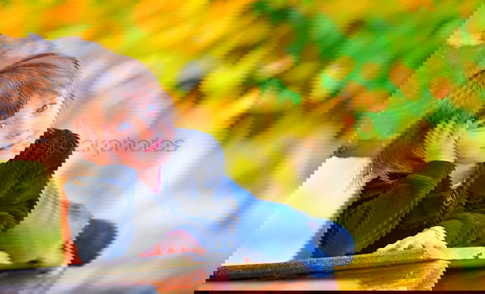 Similar – Image, Stock Photo collecting passion