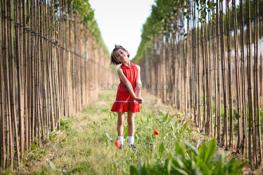 Similar – Image, Stock Photo Little girl in poppies field wearing beautiful dress