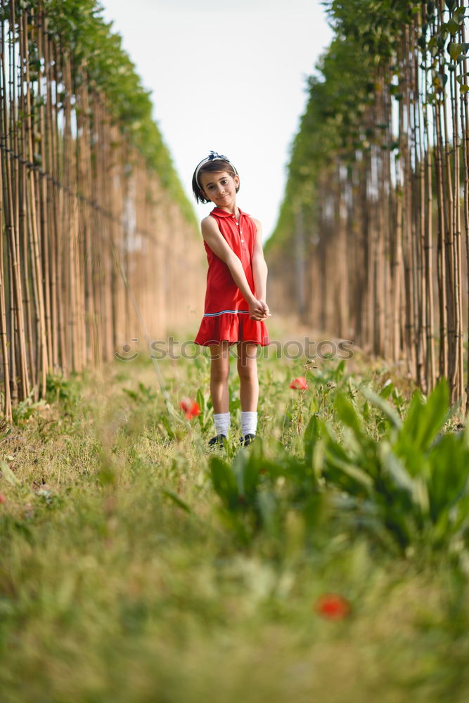 Little girl walking in nature field wearing beautiful dress